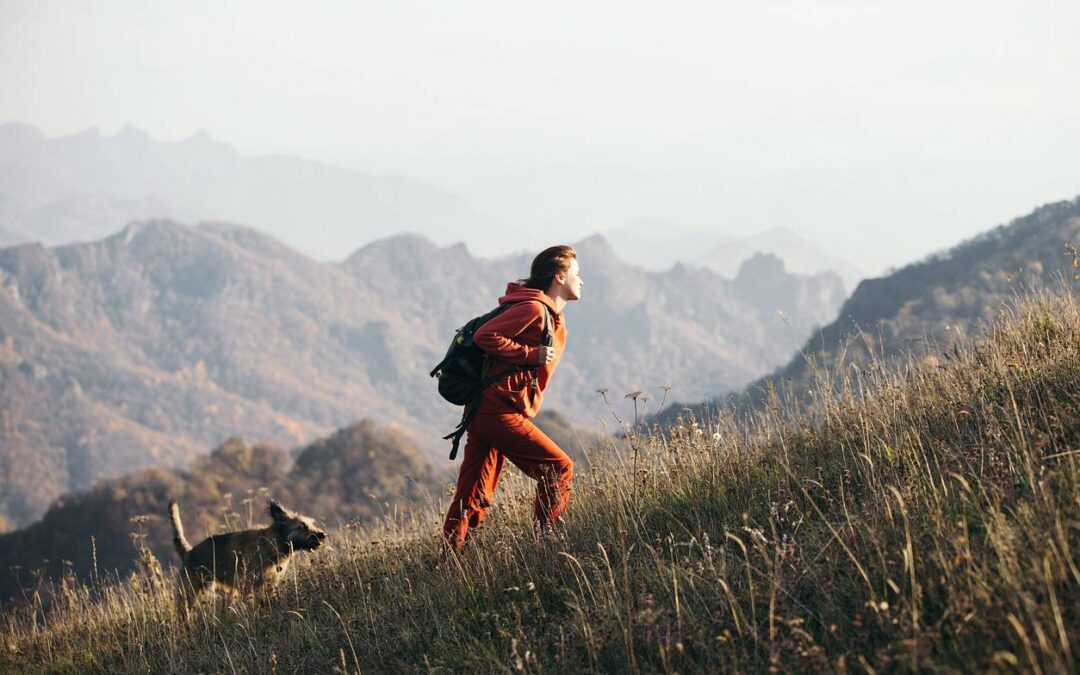 Jak przygotować psa do górskich wycieczek? Praktyczny poradnik