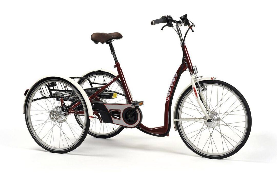 Rowery Trójkołowe z AlmaMed – Aktywny wypoczynek dla każdego!