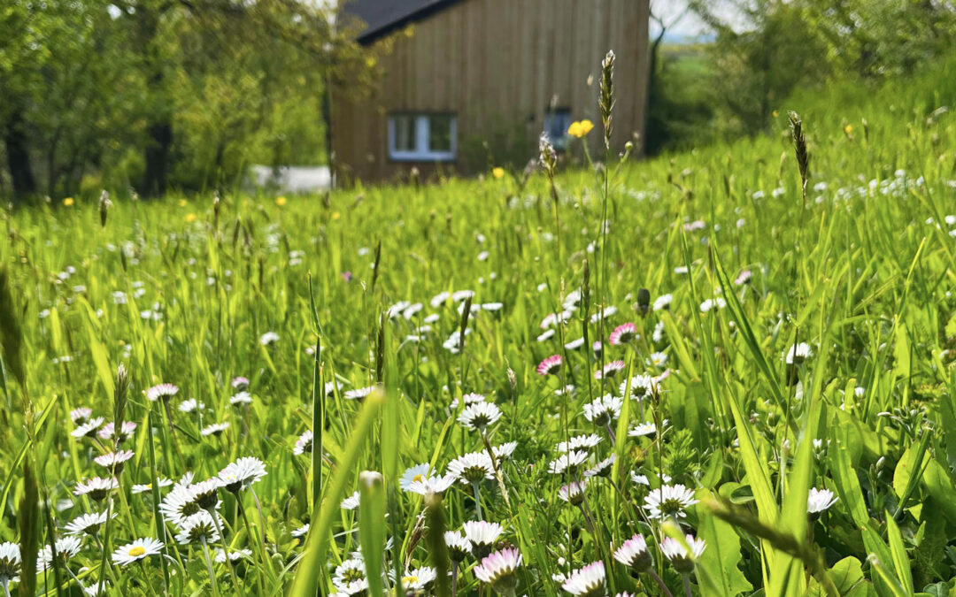 Domki pod Wrocławiem – idealne miejsce na relaks blisko natury