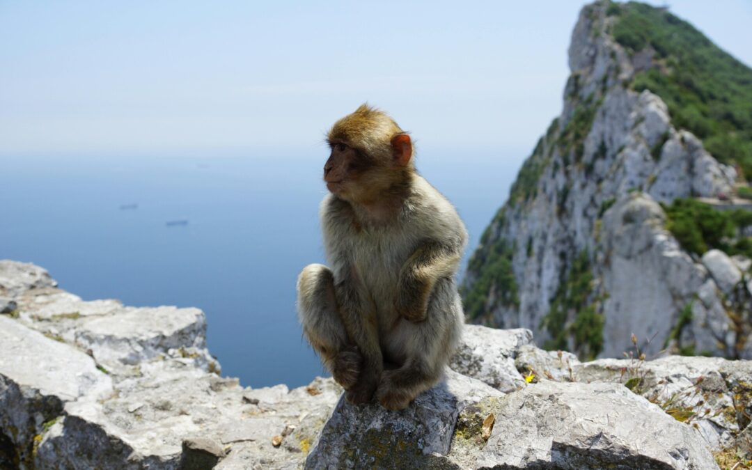 Czy na Gibraltar trzeba paszport? Podróżowanie w czasach otwartych granic