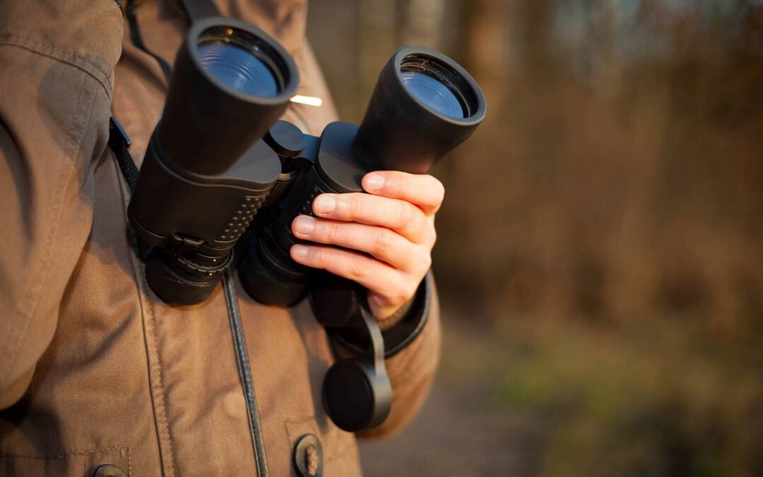 Czy warto inwestować w sprzęt optyczny znanych marek? Sprawdzamy