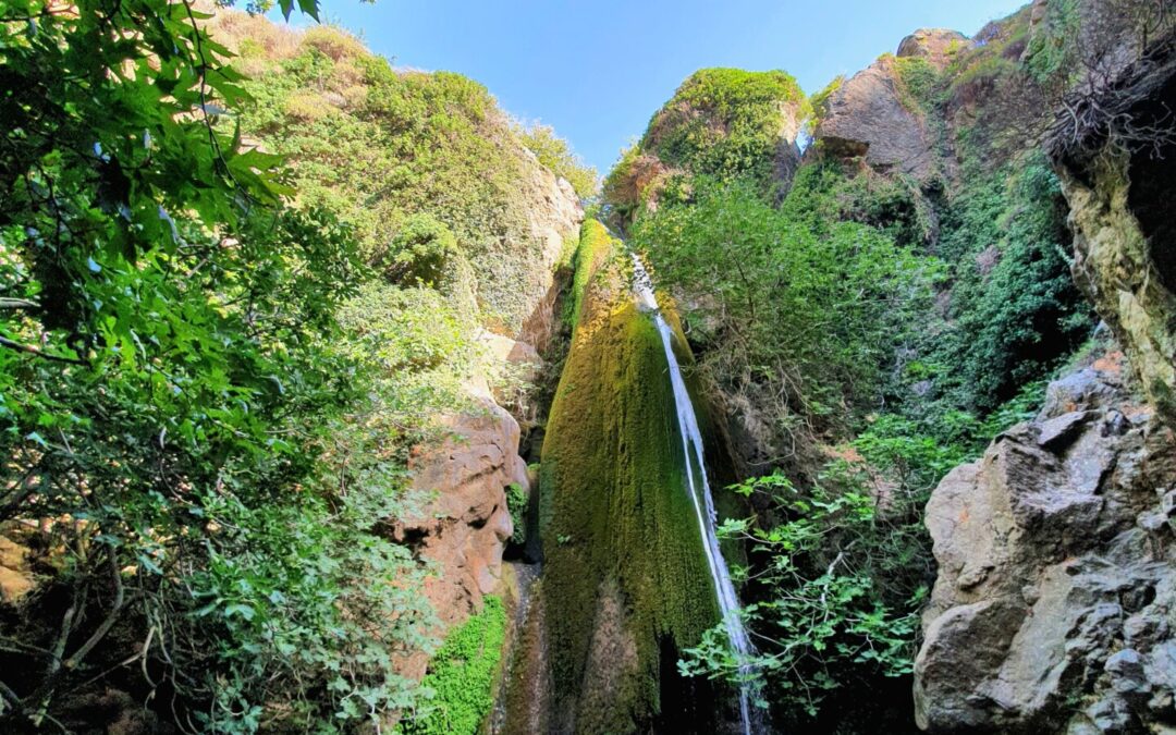Wąwóz Richtis – Szlak przez zielone serce Krety