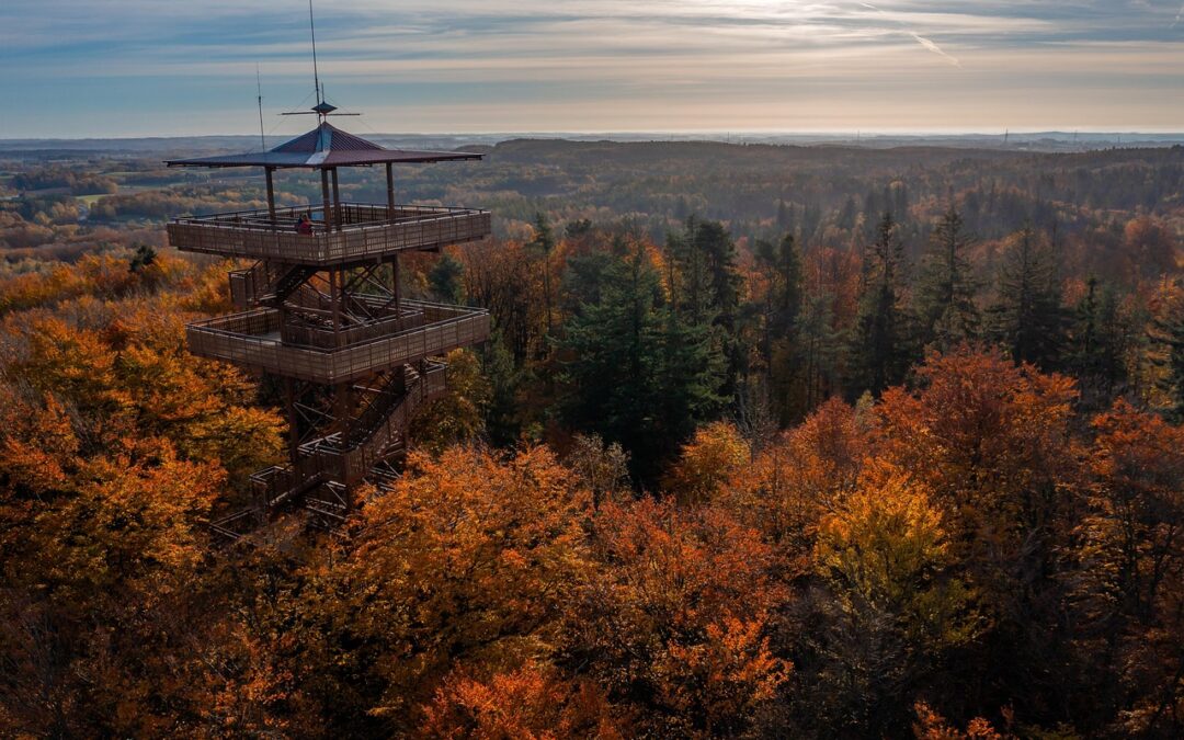 Jesień na Kaszubach – czas relaksu w otoczeniu natury