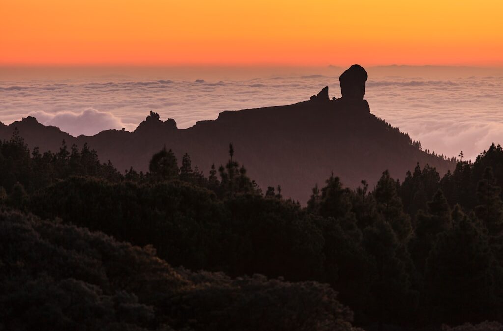 Gran Canaria z polskim przewodnikiem – odkryj prawdziwe oblicze Wysp Kanaryjskich
