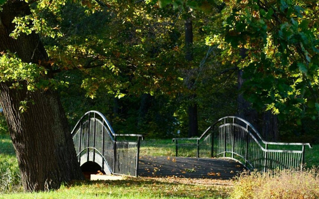 Egzotyczne zakątki w Polsce – miejsca, które potrafią zaskoczyć