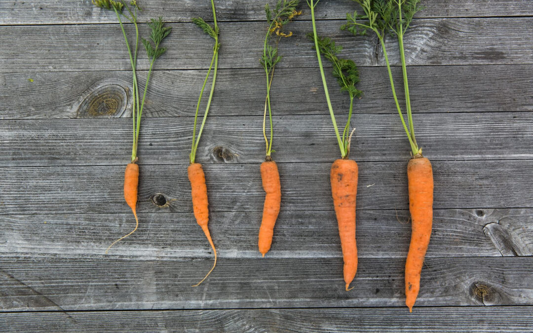 Prowitamina A (Beta-karoten) – naturalne wsparcie dla skóry, wzroku i odporności