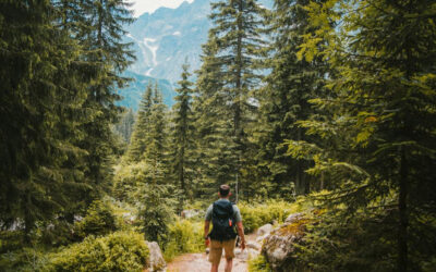 Aktywne odkrywanie regionu – jak dbać o zdrowie podczas wędrówek