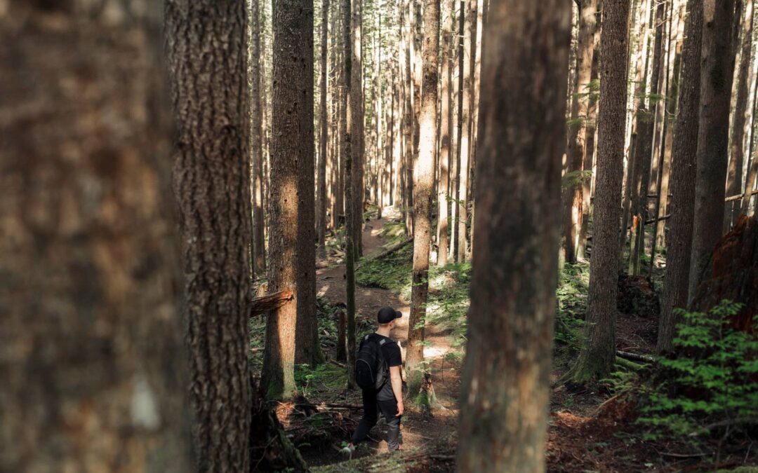 Wągrowiec – okolica pełna niespodzianek