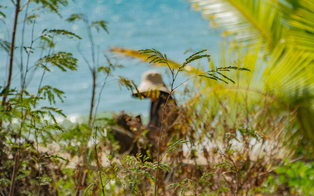 Najlepsze kierunki na krótki relaks poza Warszawą – gdzie szukać ciszy?