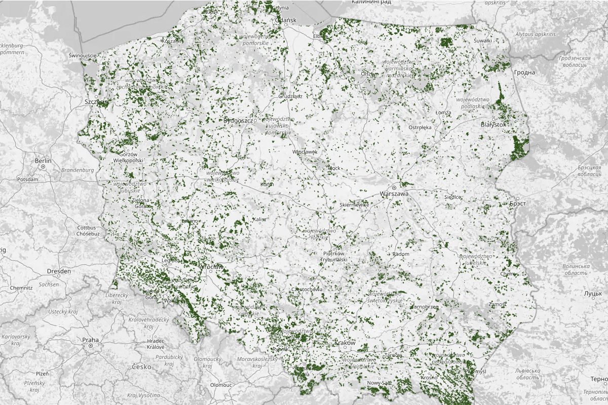 Nowa Mapa Las w Li ciastych I Mieszanych W Polsce akt 2026 nowa-mapa-las-w-li-ciastych-i-mieszanych-w-polsce-akt-2026