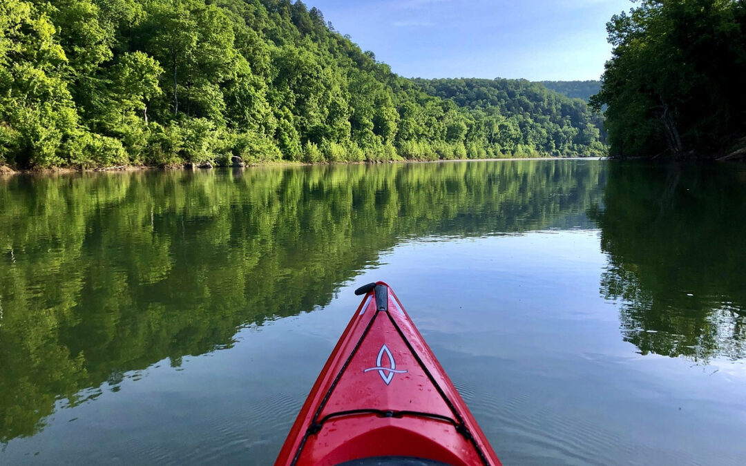 Spływy kajakowe rzeką Wkra – spokojna przygoda blisko natury
