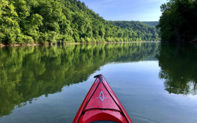 Spływy kajakowe rzeką Wkra – spokojna przygoda blisko natury