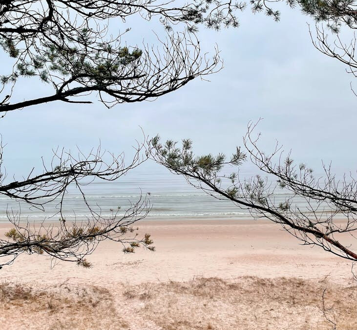Czy Władysławowo to Kaszuby? Turystyczne atrakcje regionu i okolicy