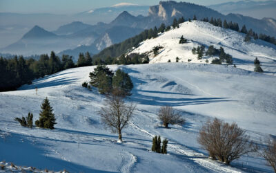 Pieniny zimą – szlaki, stoki i co robić, gdy spadnie śnieg